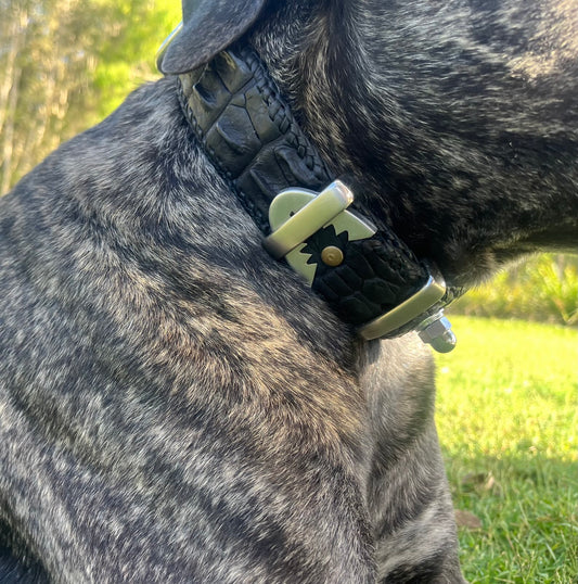 Ruff-As-Guts Mk I - Original Townsvillain Crocodile Collar