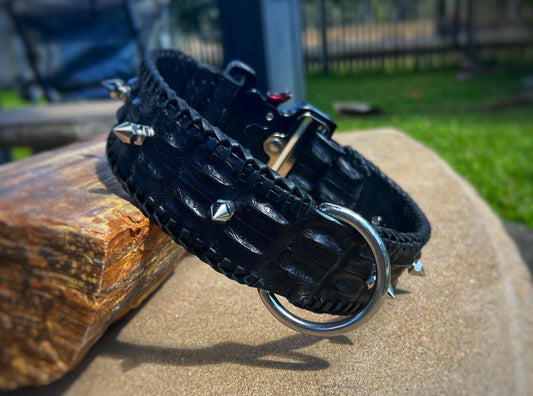 TK-9 Custom Handmade Townsvillain Crocodile Collar